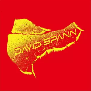 David Spann - International Sensation