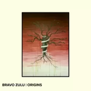 Bravo Zulu - Origins