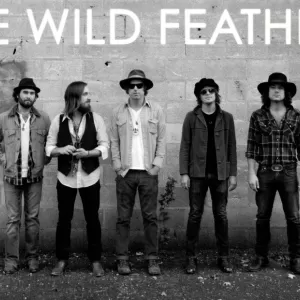 The Wild Feathers - TWF-LP2012